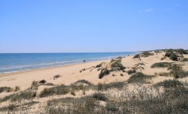 santa_pola_dunas_marina_rental1