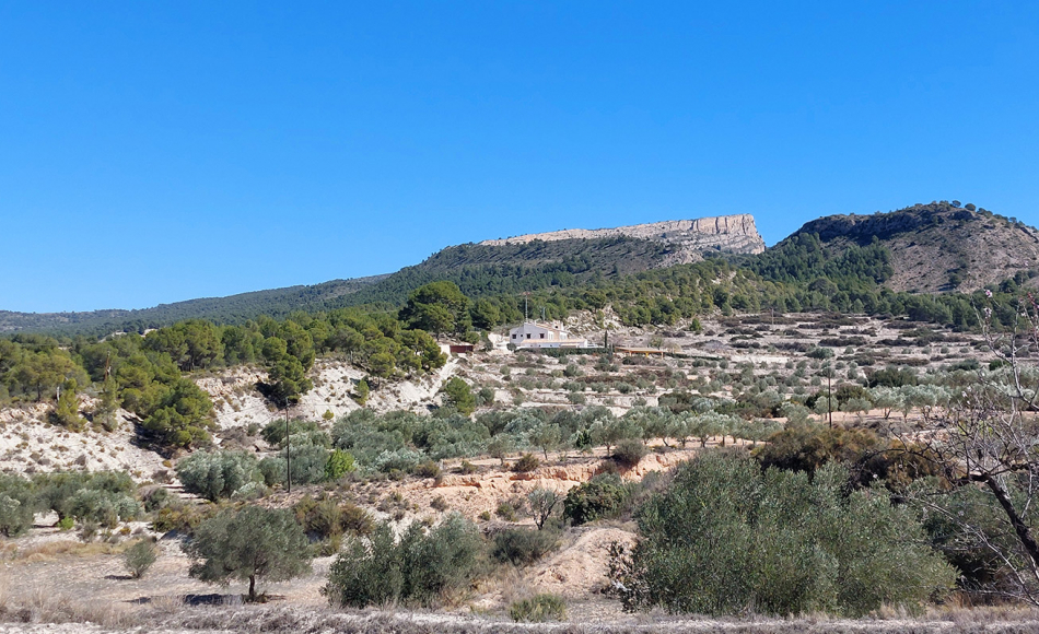 finca-casa-rustica-petrer-alicante-(14)