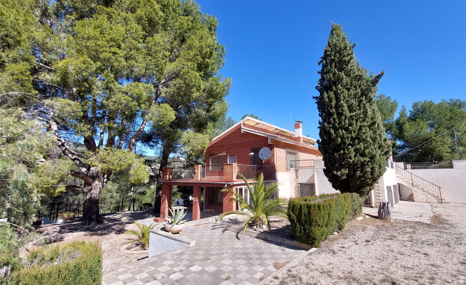 finca-casa-rustica-petrer-alicante-(2)