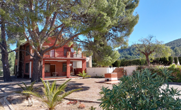 finca-casa-rustica-petrer-alicante-(3)