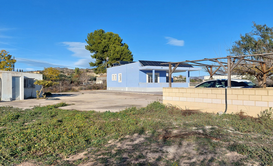 chalet-la-romana-alicante-piscina24