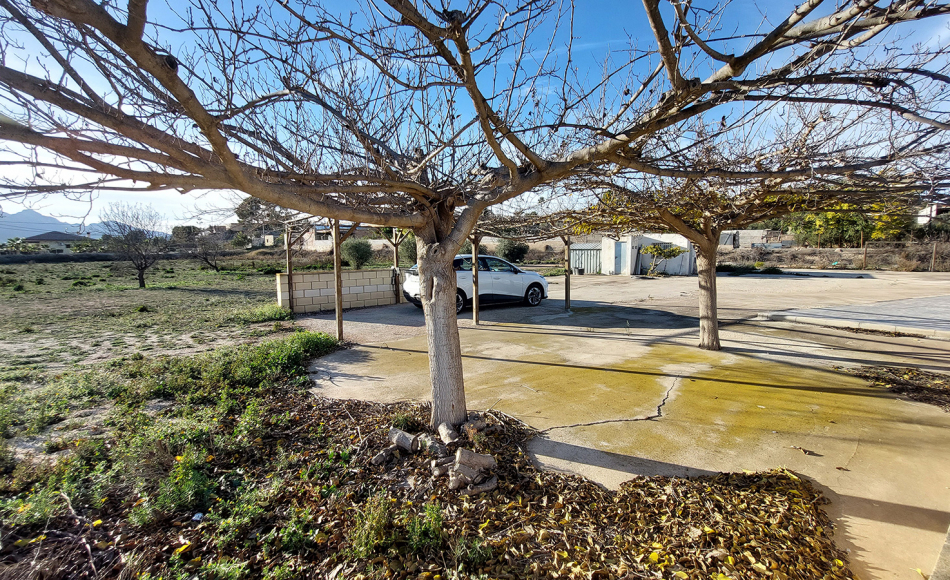 chalet-la-romana-alicante-piscina26