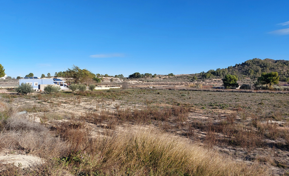 chalet-la-romana-alicante-piscina30